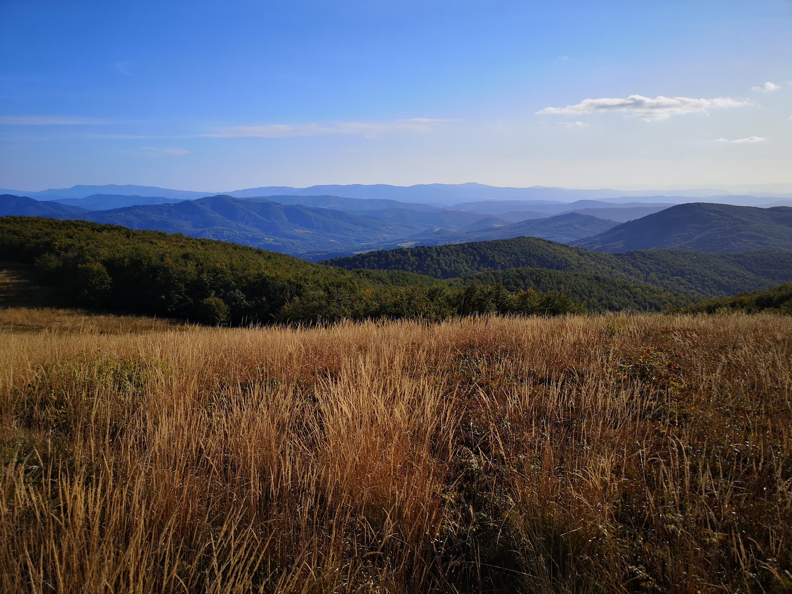 Featured image for S00E02 [Prywatność w sieci] — Dlaczego powstał ten blog?